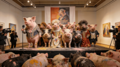 <b>清晰的“市场轨迹”（由画廊通过一级市场的价</b>